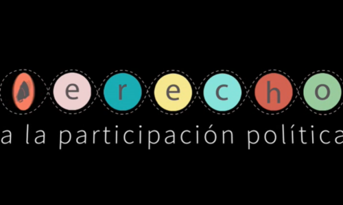 El derecho a la participación política