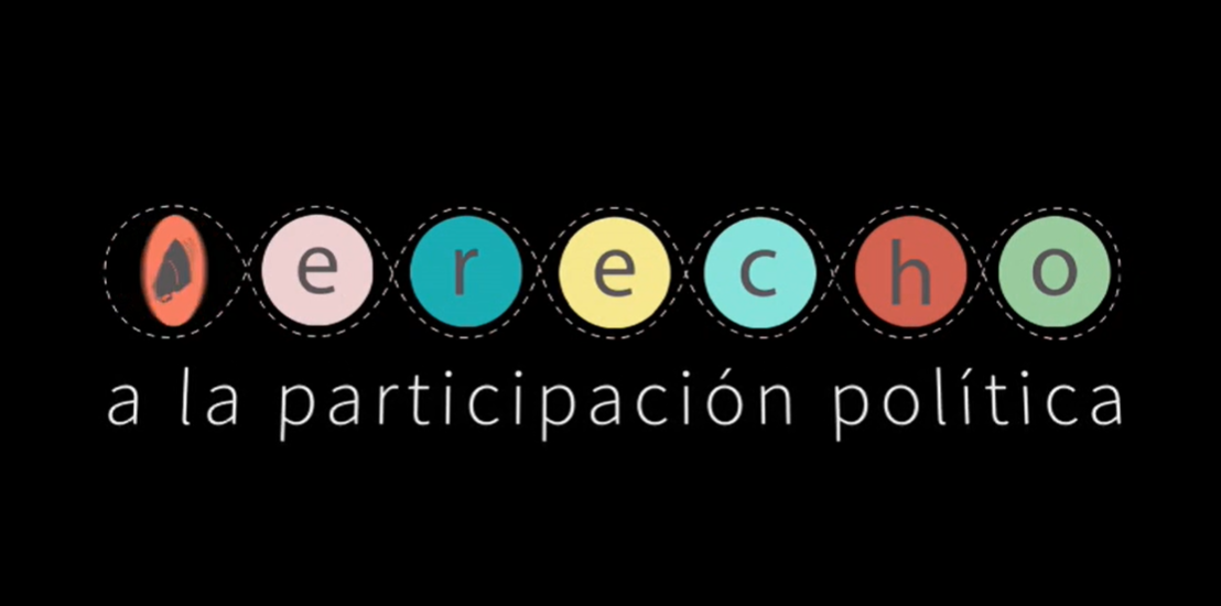 El derecho a la participación política